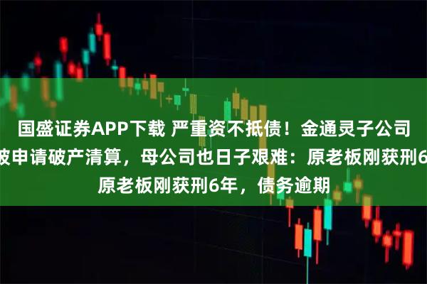 国盛证券APP下载 严重资不抵债！金通灵子公司成立仅6年，被申请破产清算，母公司也日子艰难：原老板刚获刑6年，债务逾期